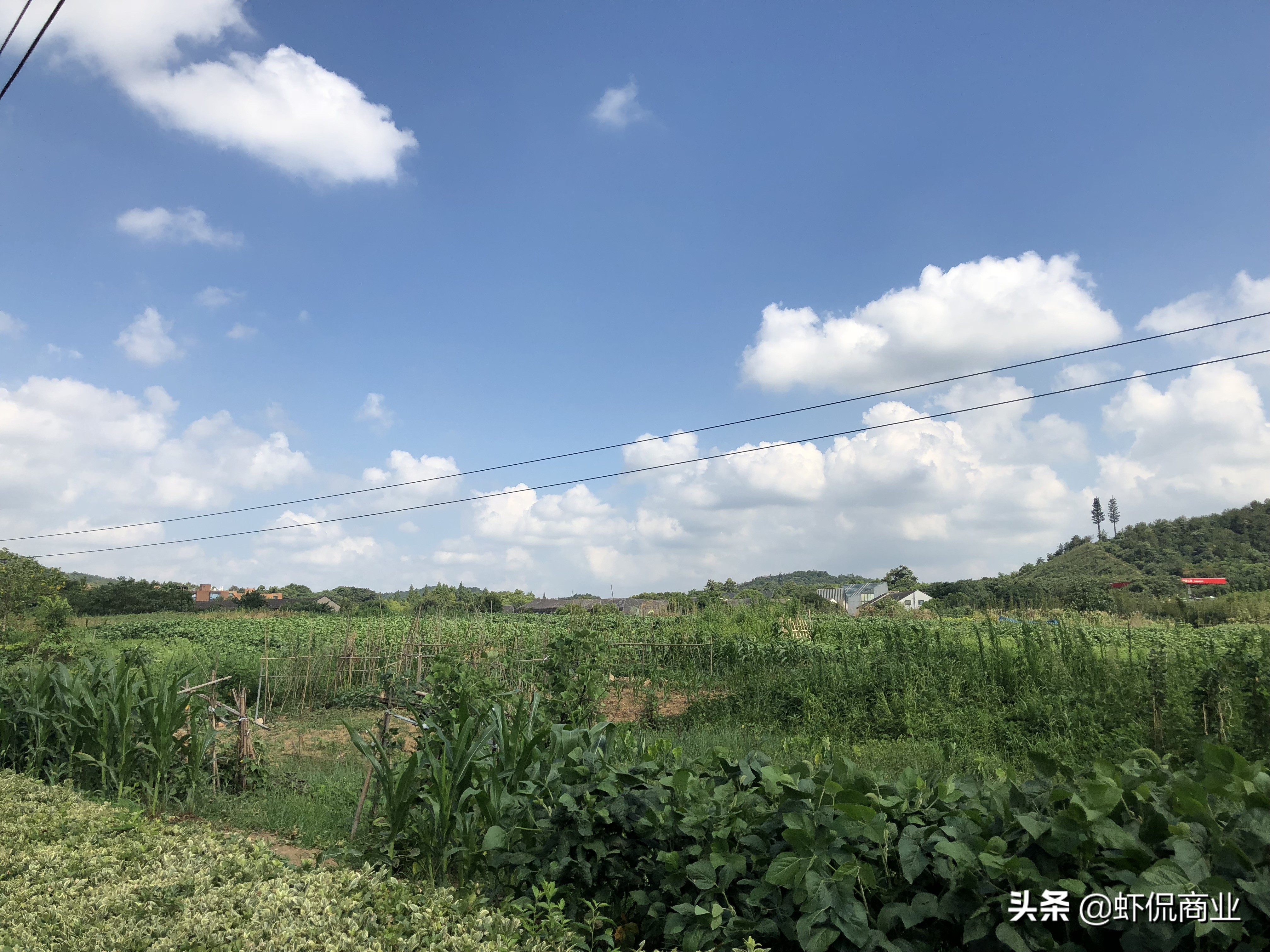 良渚文化村古镇,良渚文化村文旅