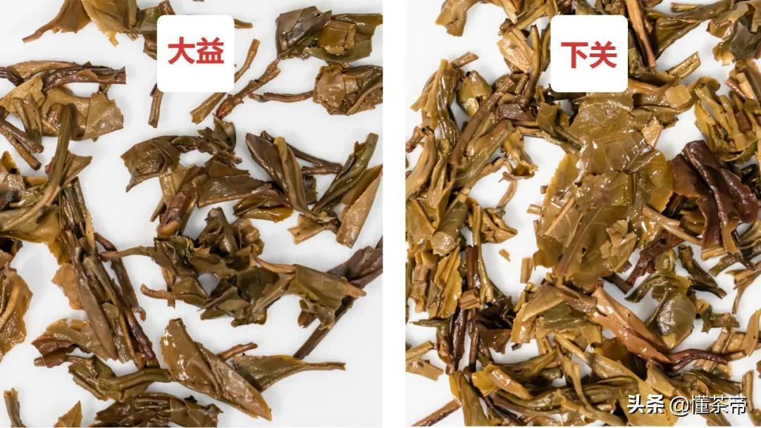 沱茶熟茶好与差对比,沱茶评测下关vs大益你更看好谁