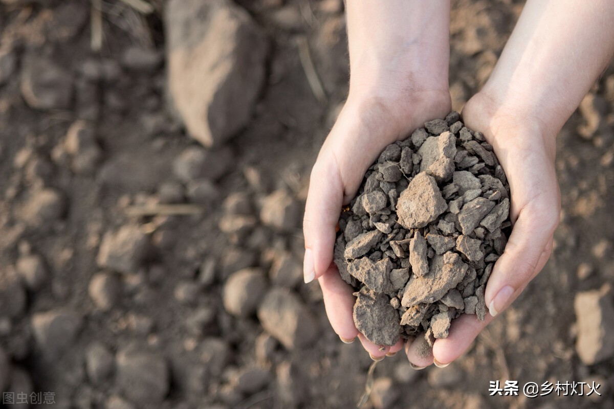 土壤杀菌消毒用生石灰还是熟石灰,花盆土壤消毒杀菌的最好方法