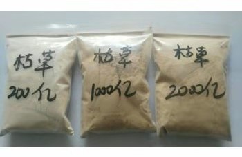 微生物源农药枯草芽孢杆菌的使用技术,“以菌治菌”防治土传病害