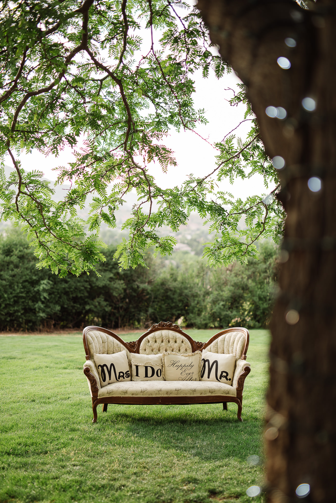 人像选适马30还是56,适马50mmf1.4适合拍什么