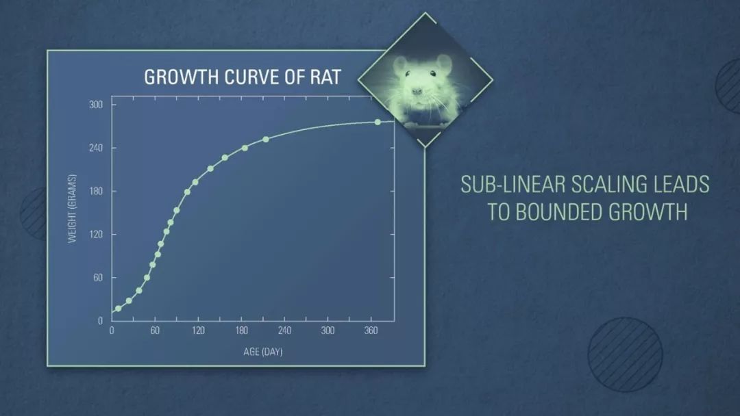 科学家找到6个神奇的数字,科学家找到6个神奇数字