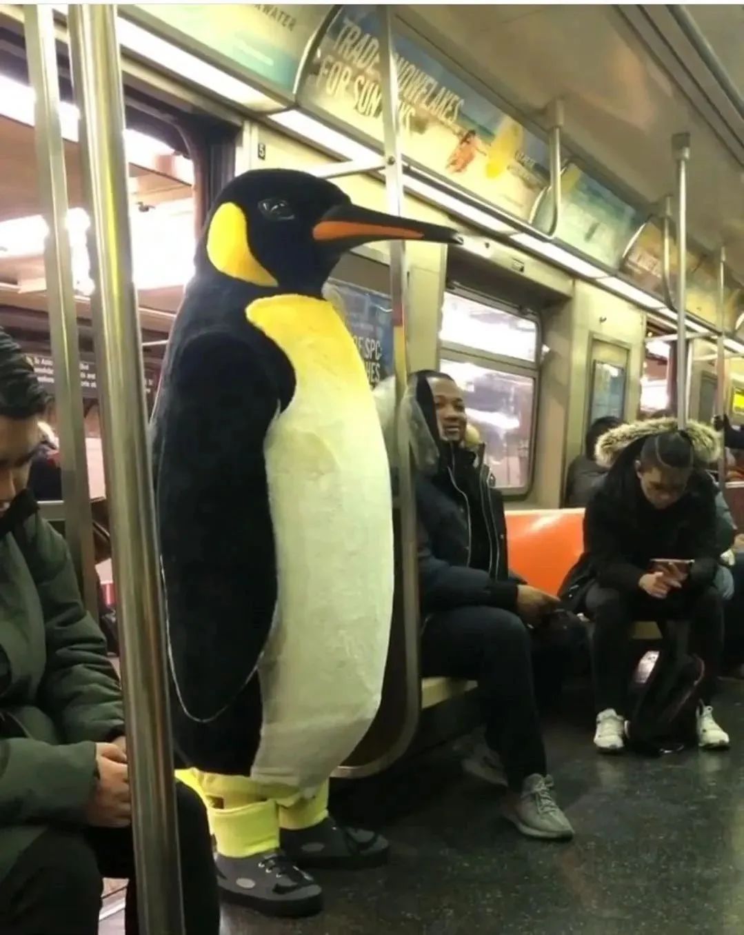 外国的抗疫情况,外国抗疫实况