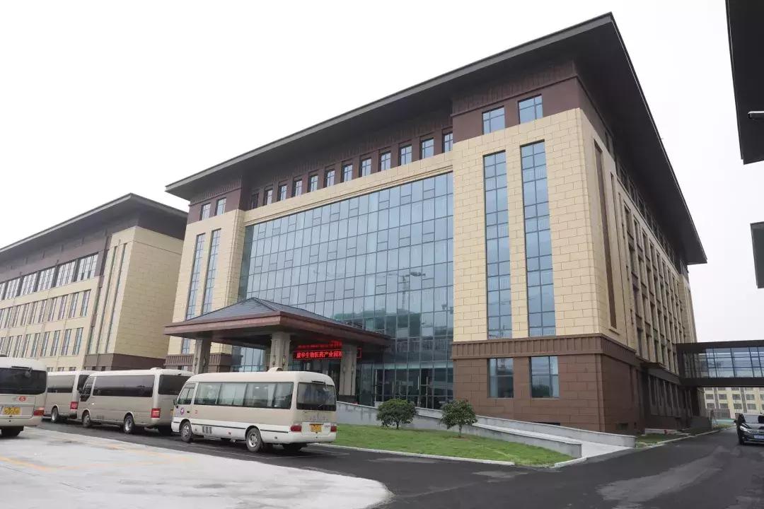 乡村振兴十大特色项目可研报告,乡村振兴百村示范项目