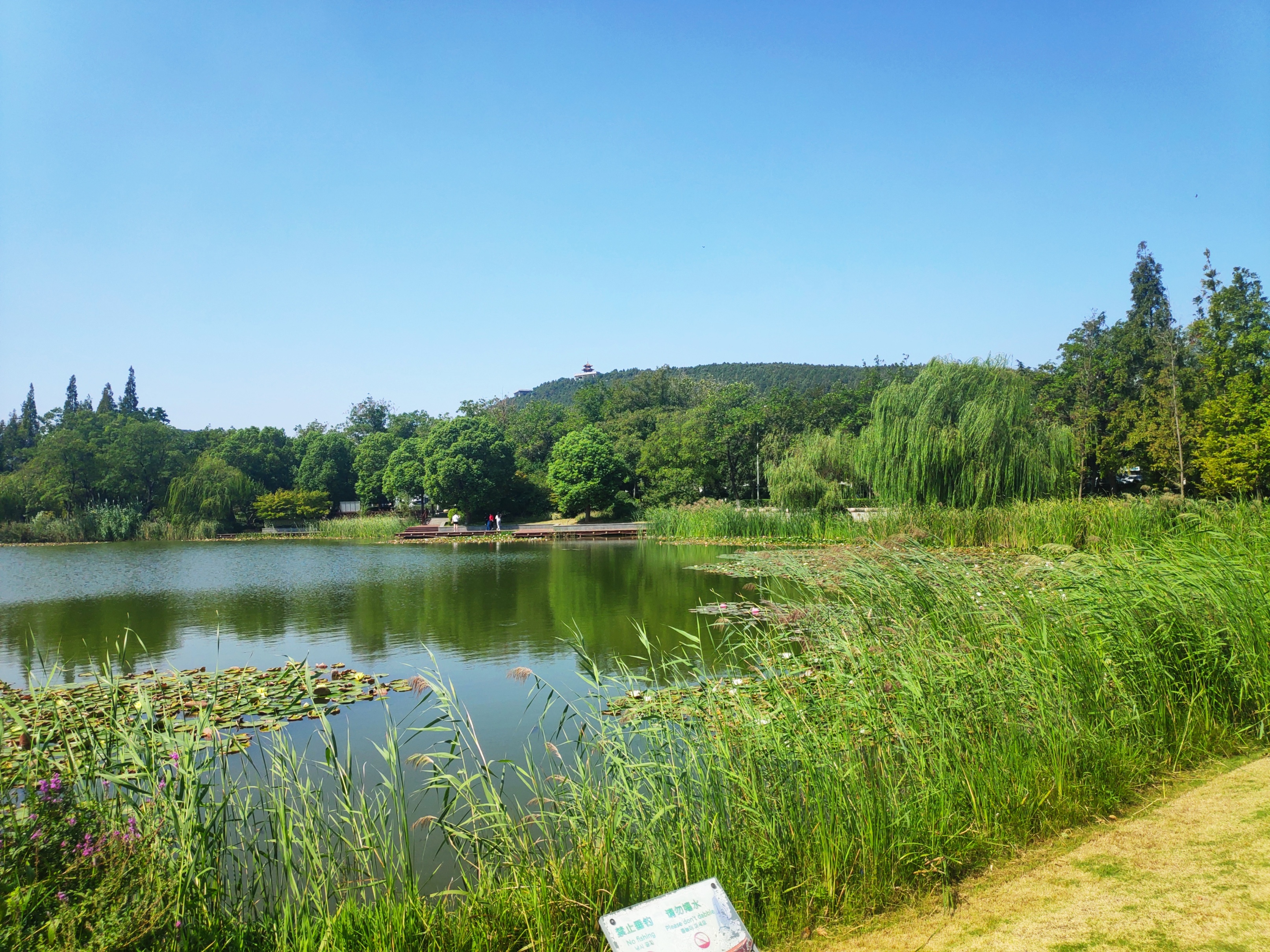 徐州彭祖楼和彭祖园,彭祖园石雕