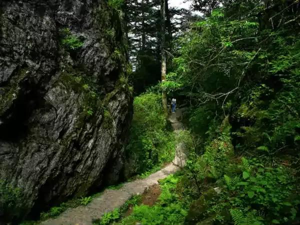 全国各地的特产带货,全国各地特产礼品有哪些