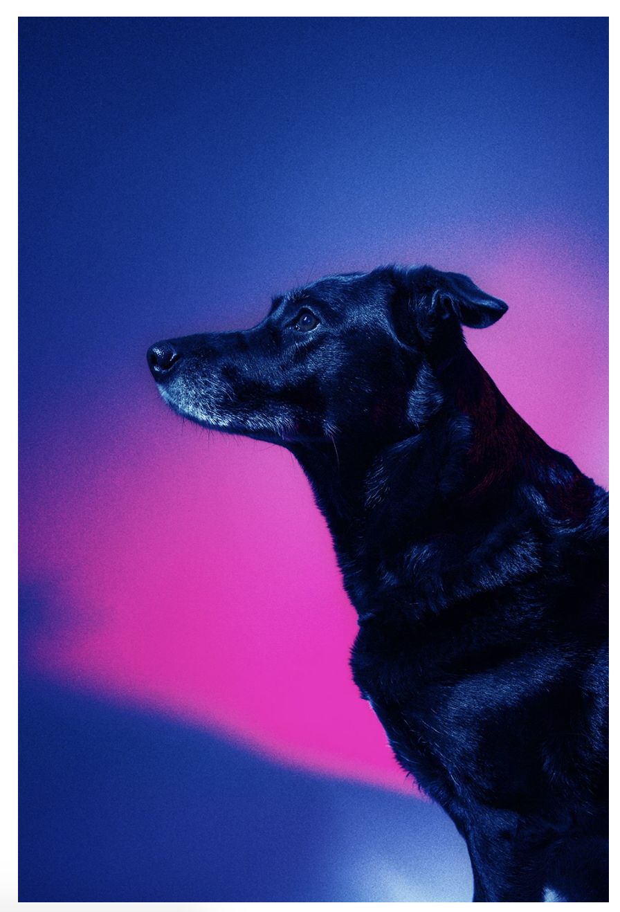 北欧设计的代表,北欧设计体系