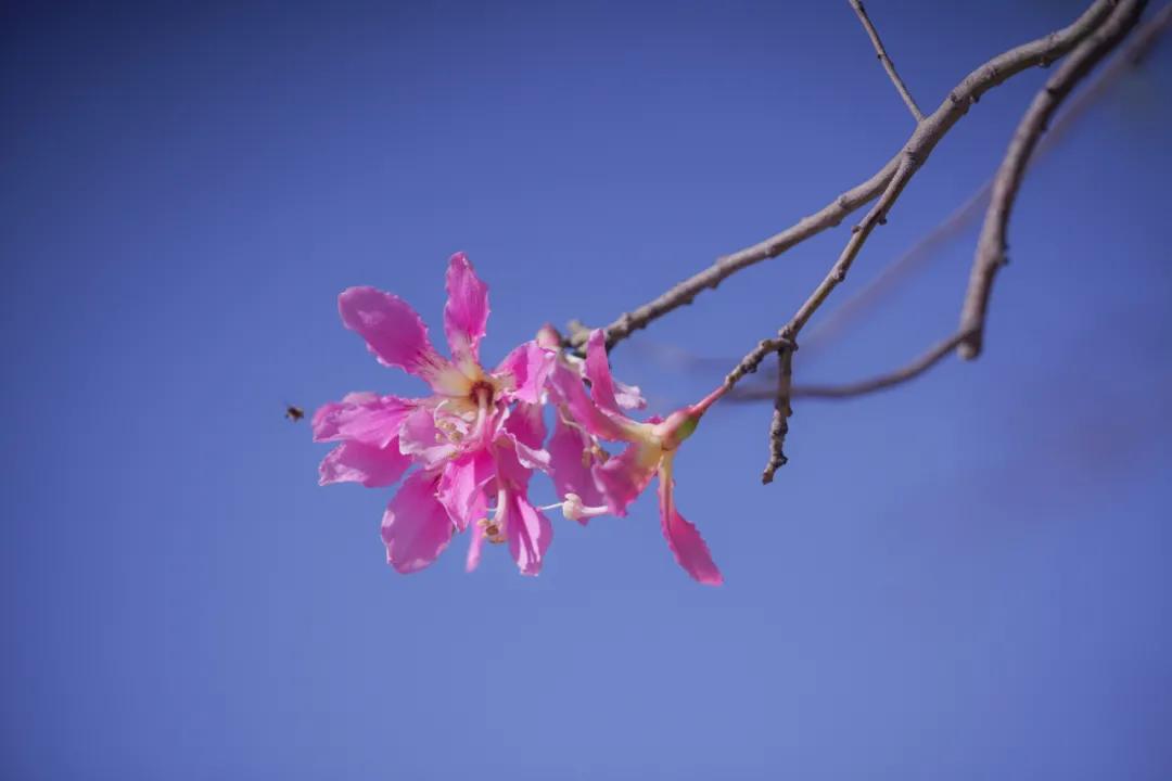 看,这是属于泉信的秋韵