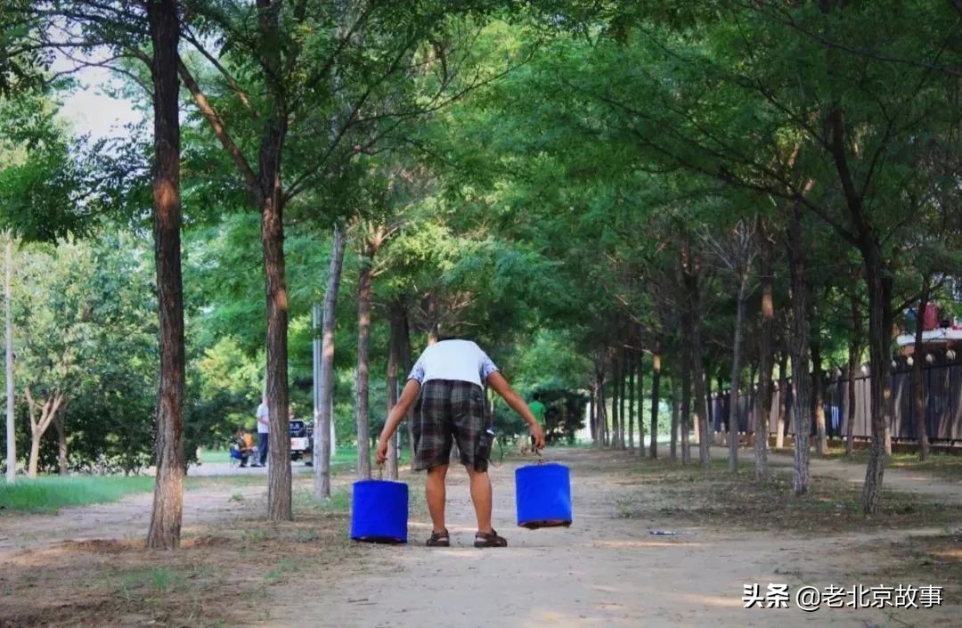 名人笔下的夏天段落,文人墨客笔下的北京
