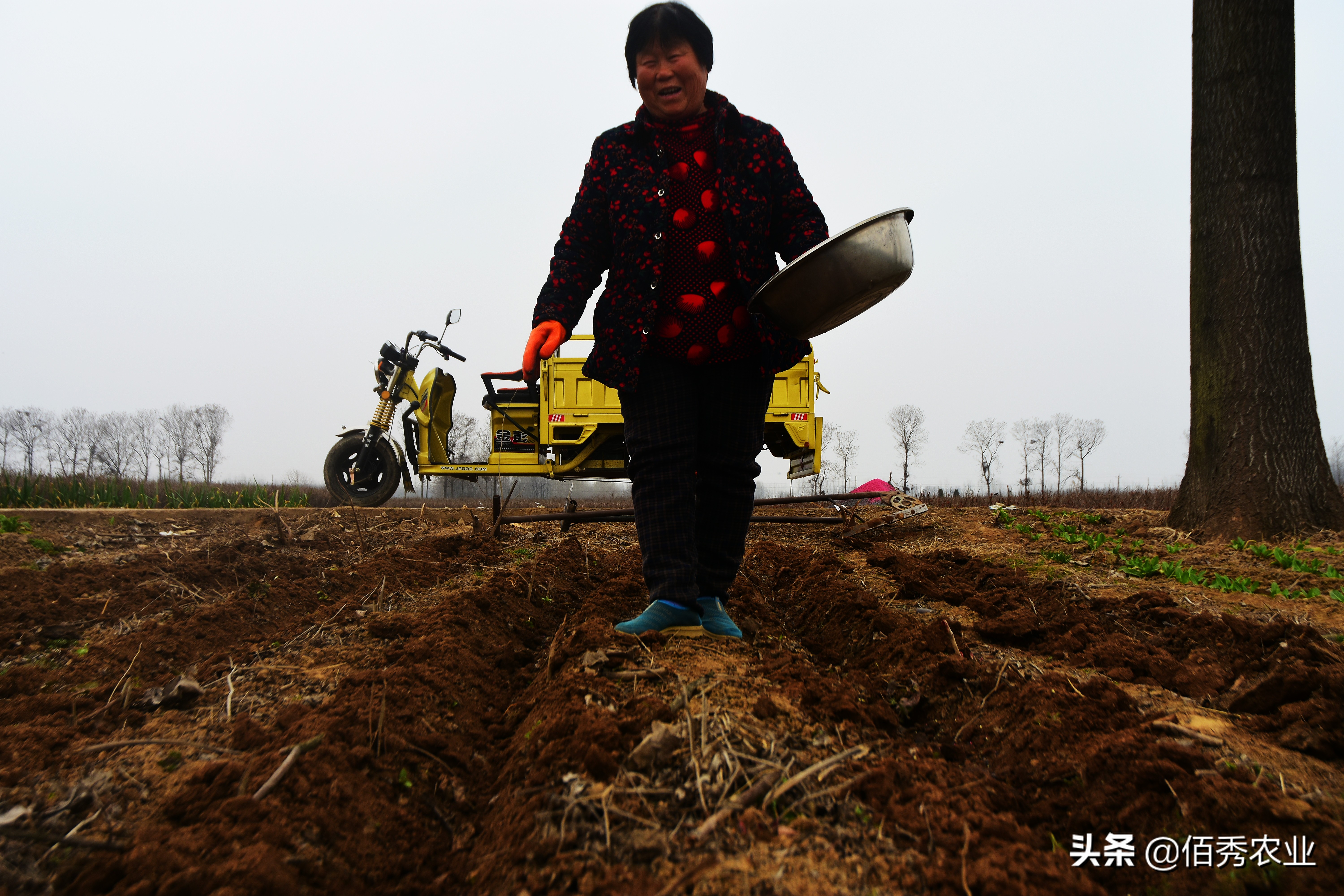 农村遇到合不来的邻居怎么办,遇到邻居拱地边怎么办