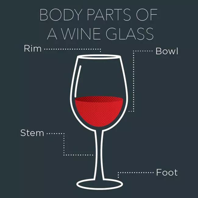 怎样使用红酒杯子,如何用红酒杯喝红酒