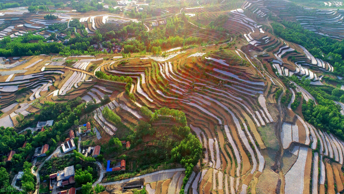 临沂兰山区哪个地方流动人口最多,临沂兰山区哪个县人口密集