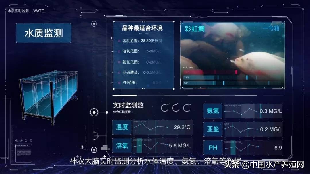 28万渔民待转产，京东数科新型水产养殖方式填补禁渔期空白