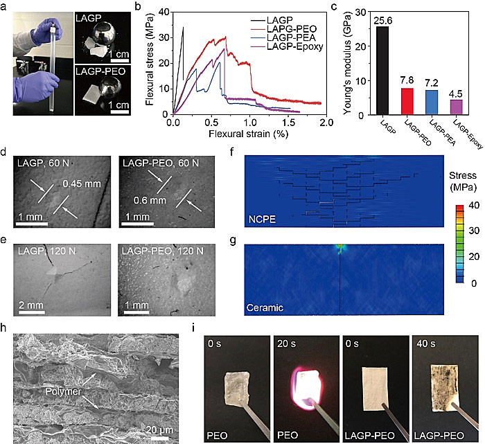 哥伦比亚大学杨远、陈曦团队AM：珍珠层结构电解质，用于可负载固