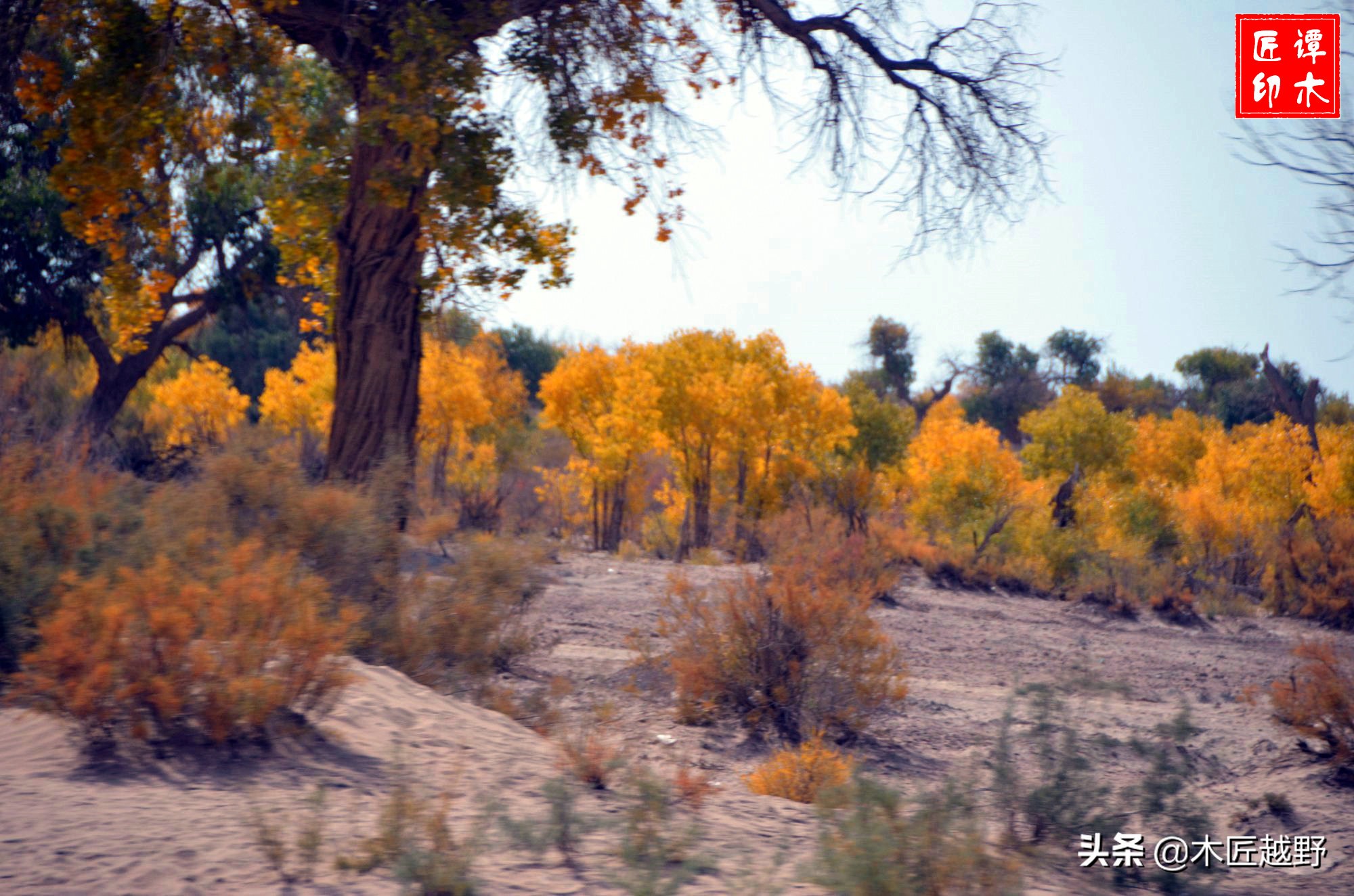 当木工学徒,当木匠的故事