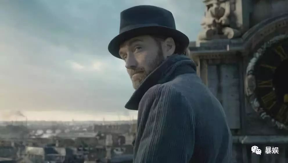 所谓哈迷的狂欢不过是失望之极下的*慰自**｜影评