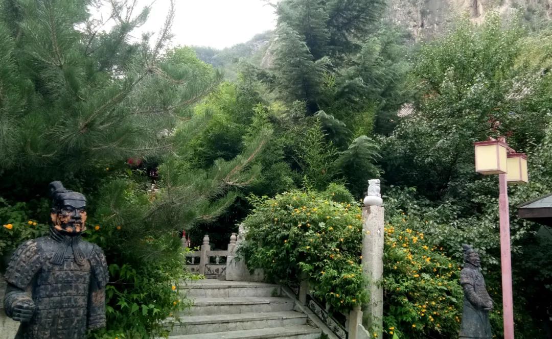 鑱氶緳灞辫幉鑺辨礊瑙嗛,姝﹀畨鑾茶姳娲炶仛榫欏北