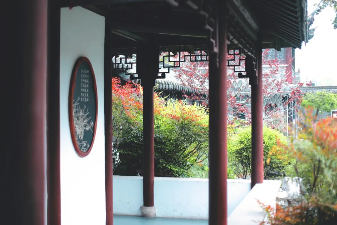 泰州旅游攻略五日游,泰州自由行旅游攻略一日游