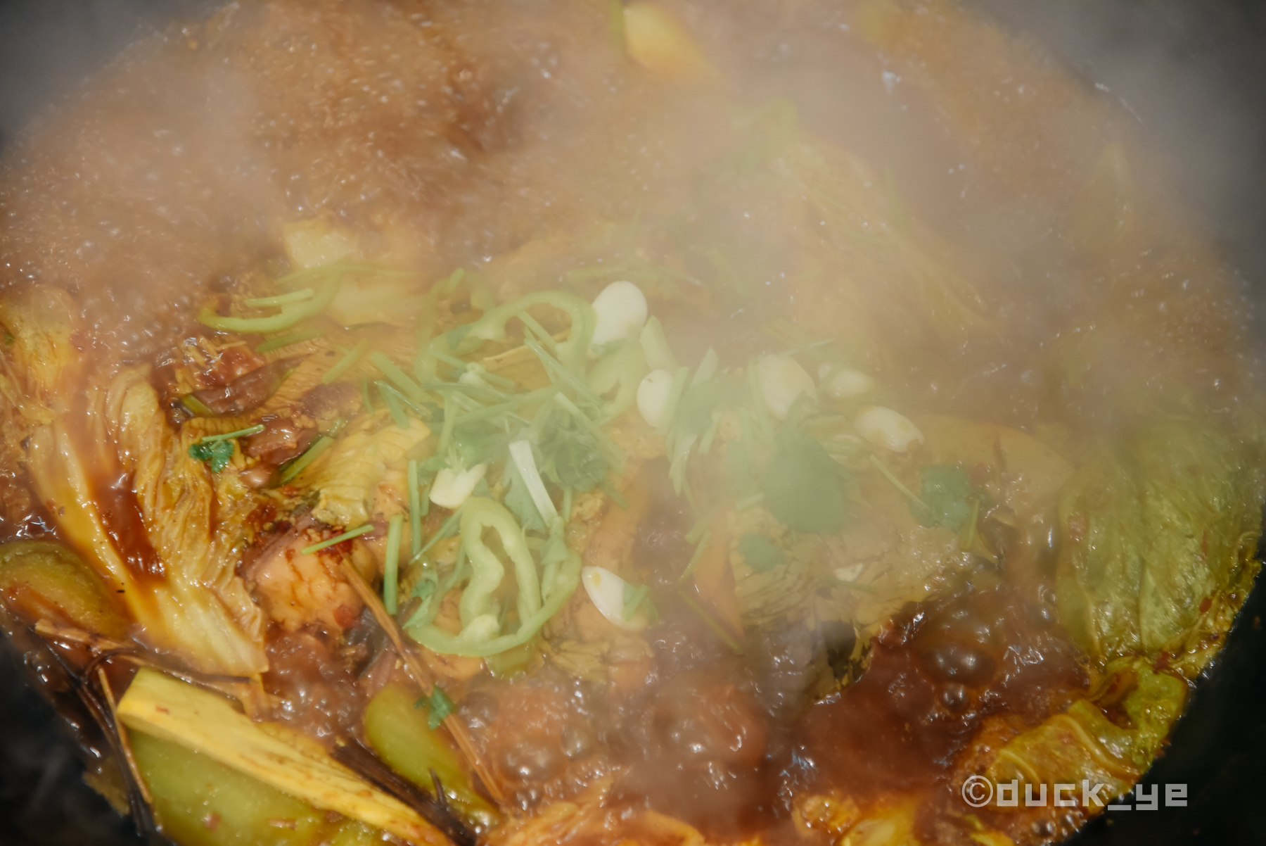 东北做鱼方法铁锅炖大鱼,东北大锅炖一大桌