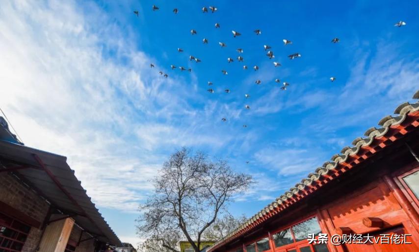 不止数字：过去24小时特别解读（2021.07.06）