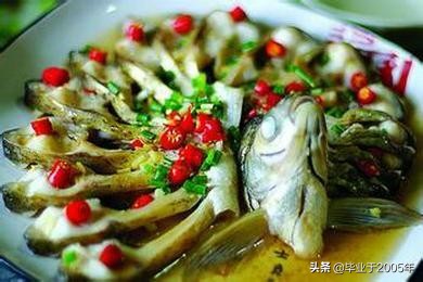 大连近海常见鱼类图鉴,大连哪里可以垂钓淡水鱼