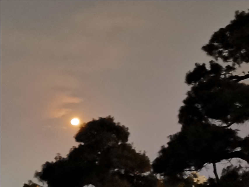 海上明月共潮生诗词,海上生明月诗词全文