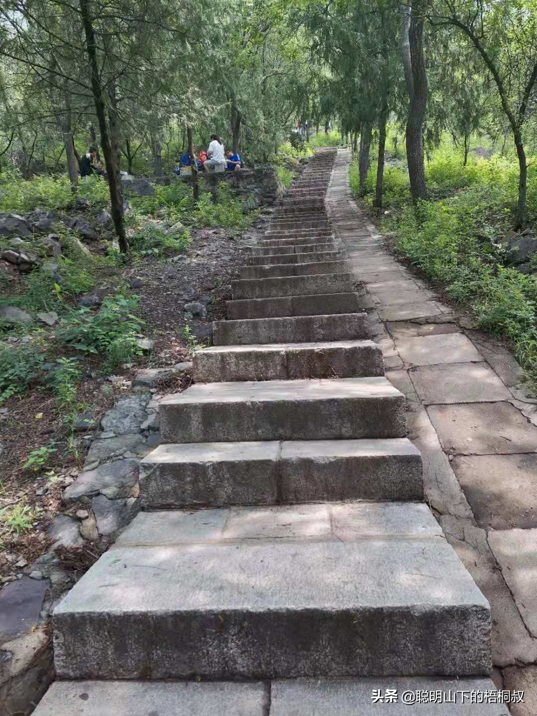 蟒山国家森林公园自由行攻略,北京蟒山森林公园游玩攻略