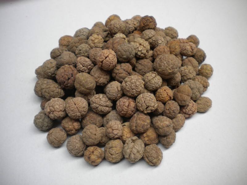 大厨详解常用香料配方,厨房香料大全图解及功效