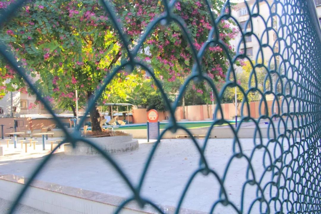 云浮体育公园2021,体育公园云浮