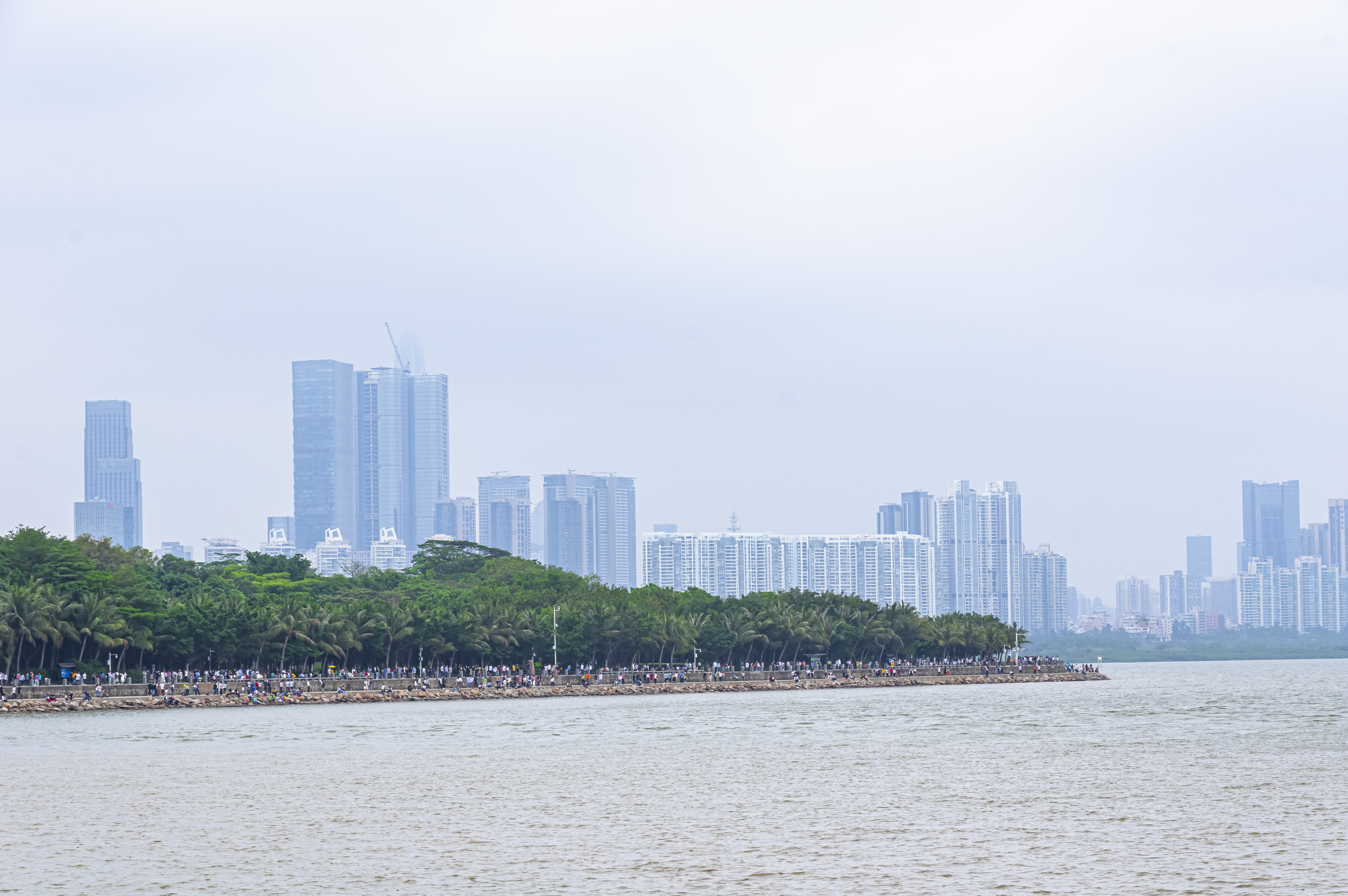 深圳10个最具怀念价值公园,深圳10大公园排名榜单最新公布