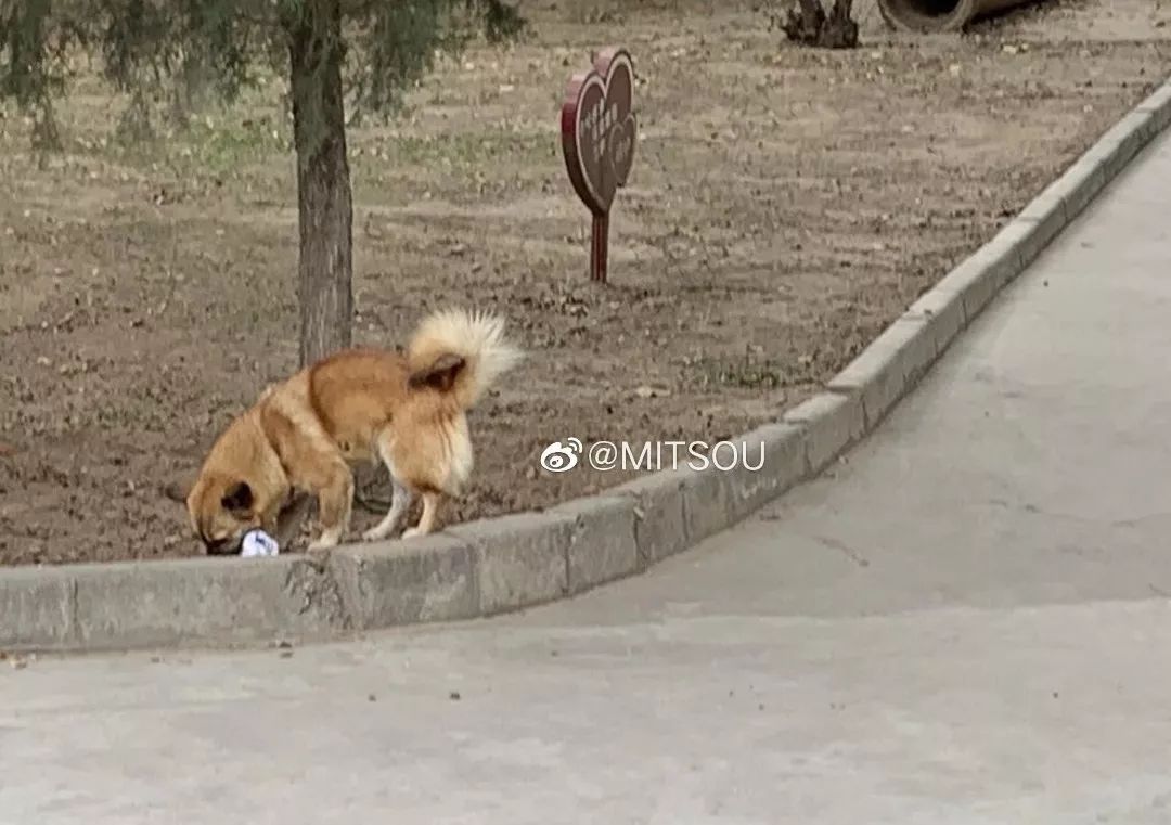 闉嬪瓙琚滃瓙琚埆浜哄伔,闉嬪瓙琚滃瓙琚伔