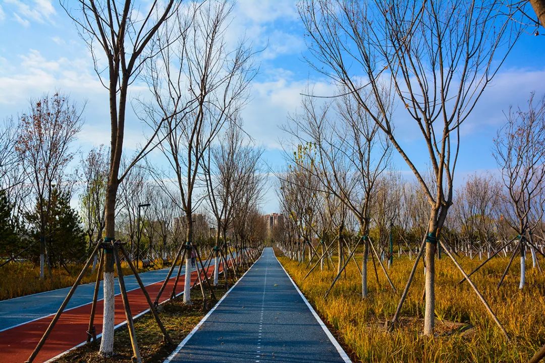 北京新开40个公园在哪里,北京十佳公园