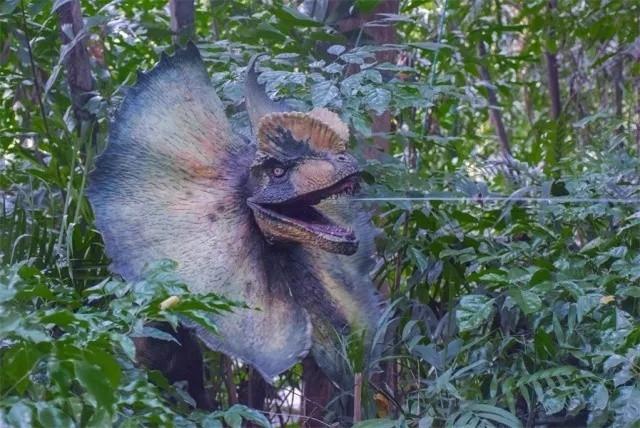 广州珠海长隆两地攻略,广州长隆欢乐世界亲子游游玩攻略