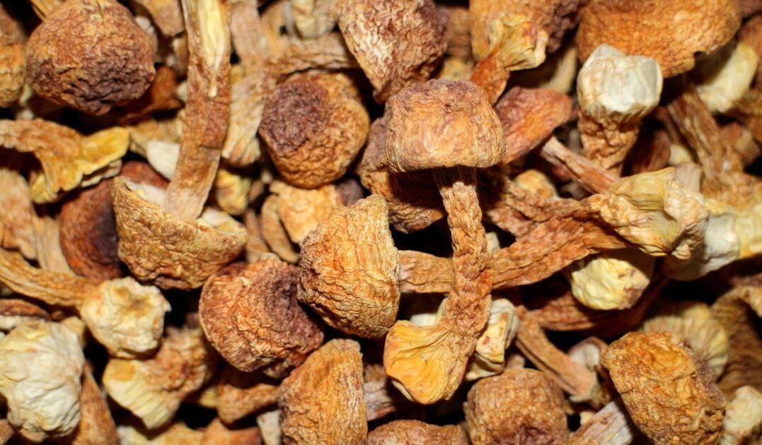 女性下身有怪味，说明宫颈并非哑巴器官，要注意宫颈病变