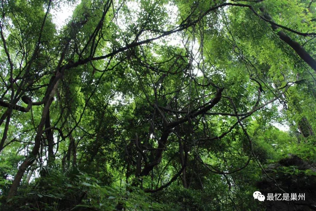 王国祥:我的母亲