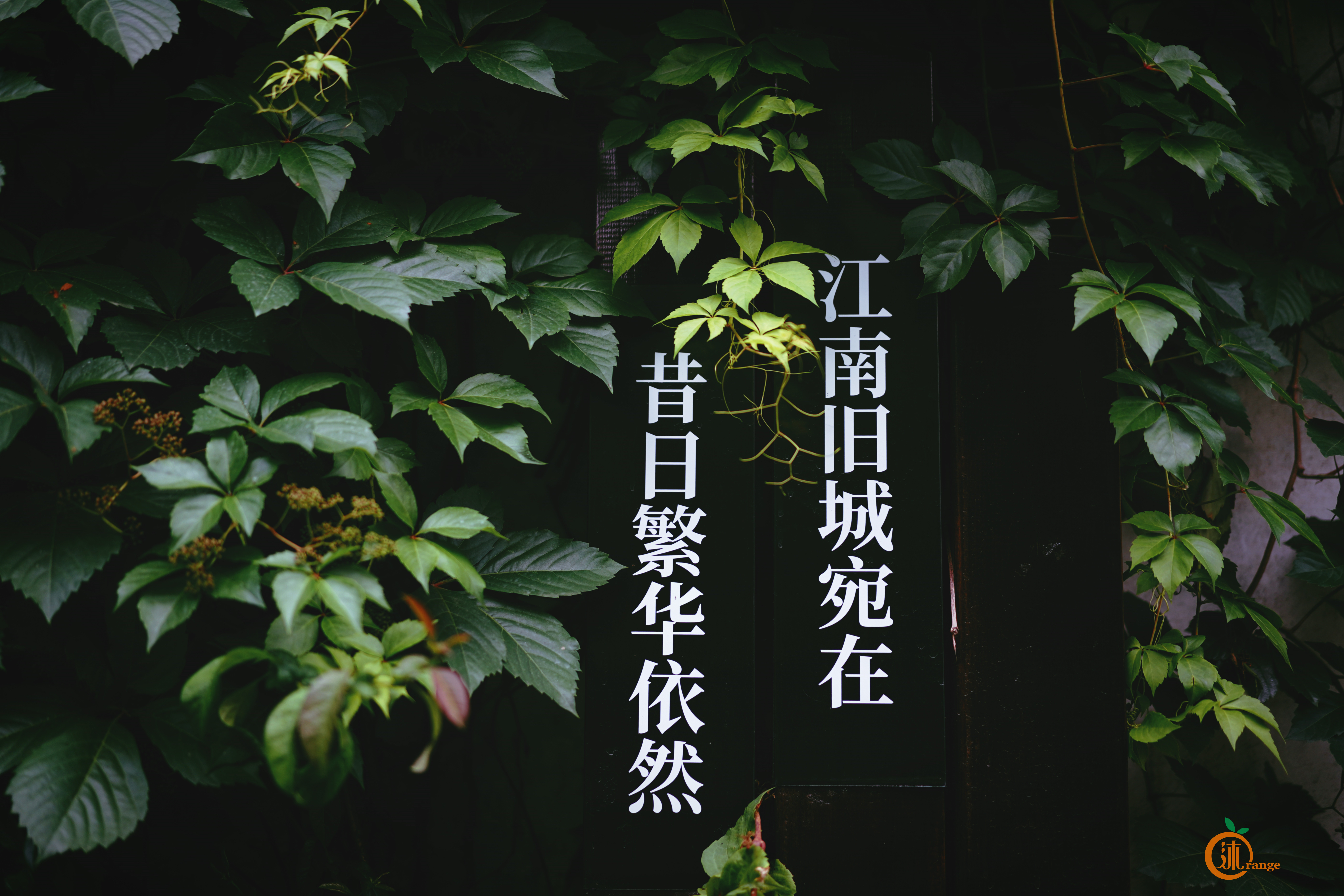 嘉兴城市底蕴,嘉兴为什么被称作鱼米之乡