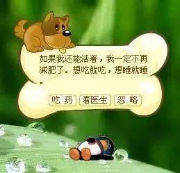 与青春一起逝去的小企鹅，它叫QQ！