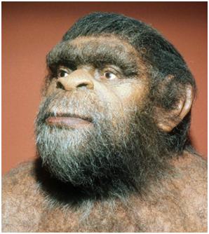 邋遢小伙变身帅气型男片段,邋遢大叔重生后变成肌肉型男