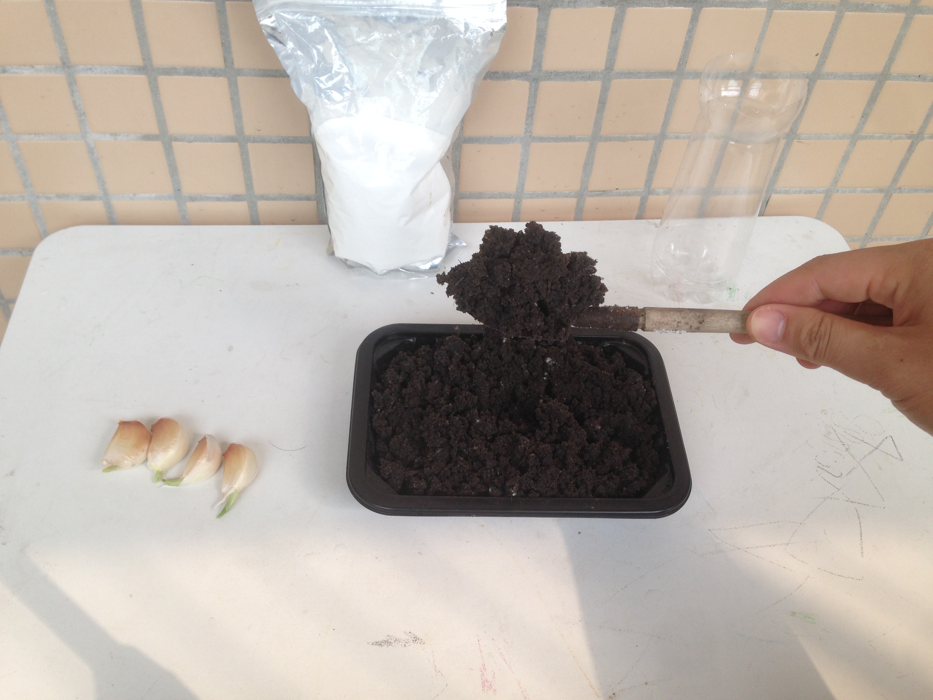 营养土不浇水直接种种子可以嘛,营养土育苗前要湿水吗