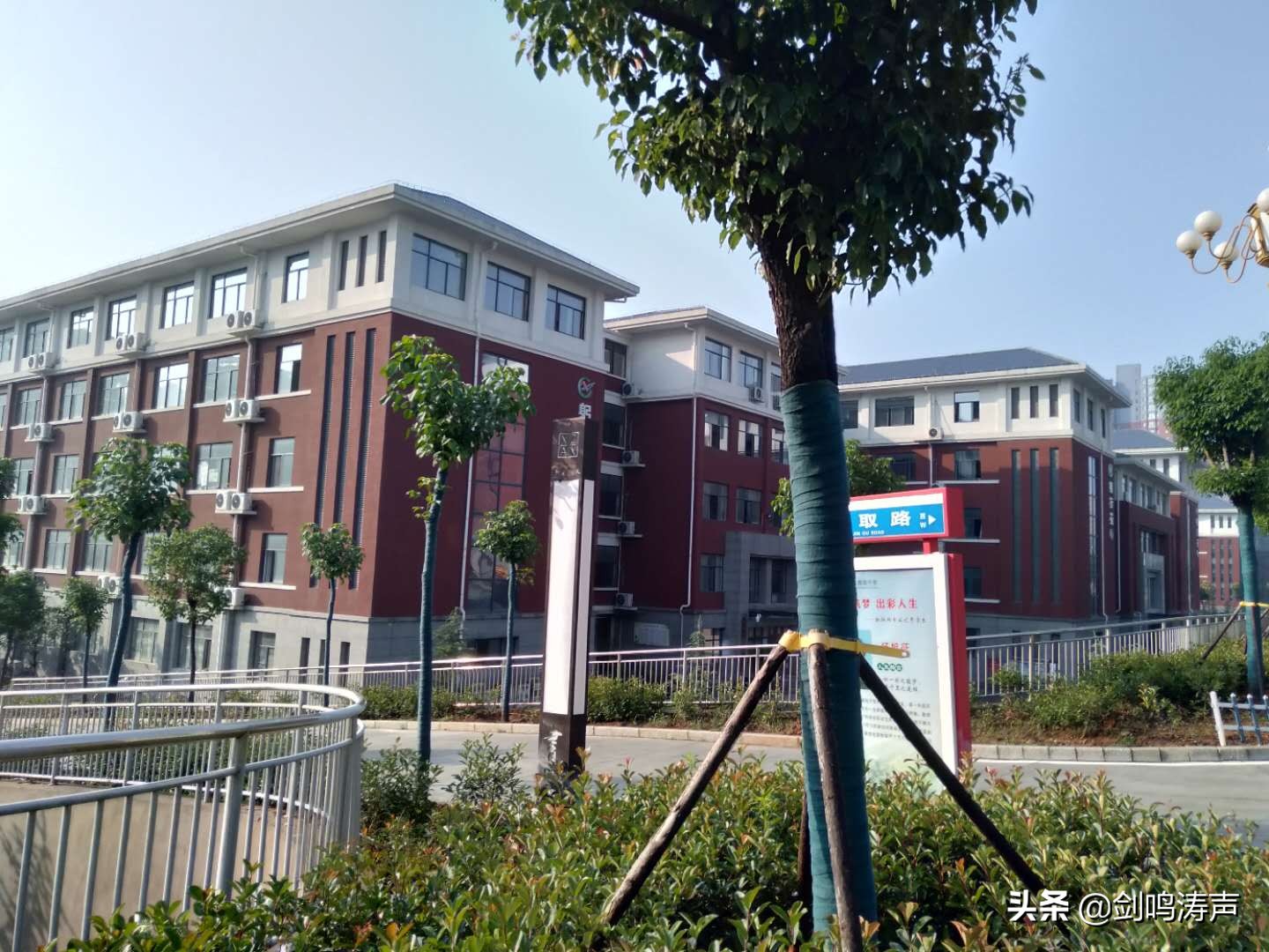 新安高中喜报2021,新安县高考喜报最高分