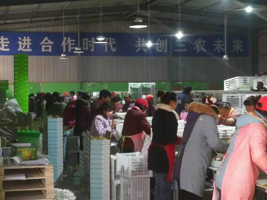 “团团大集”已近尾声，还没购置年货的小伙伴继续购购购