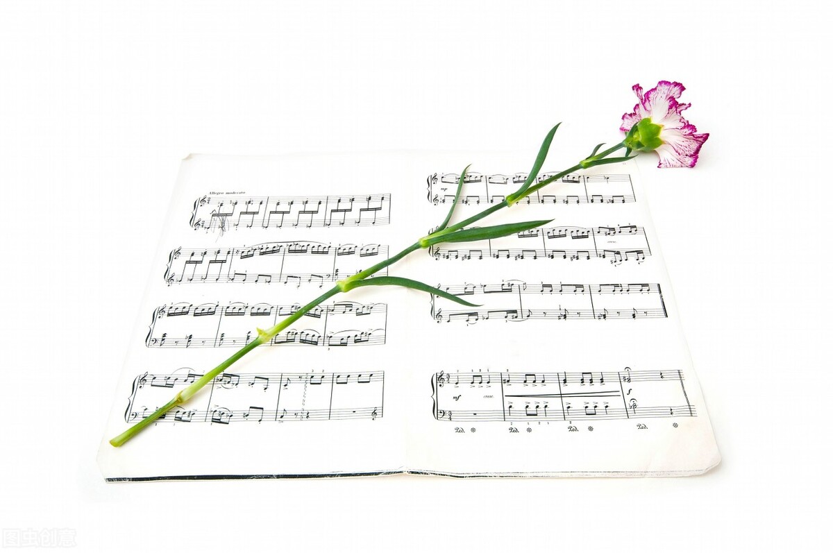 小学作文我发现了什么350字,我发现了什么作文范文