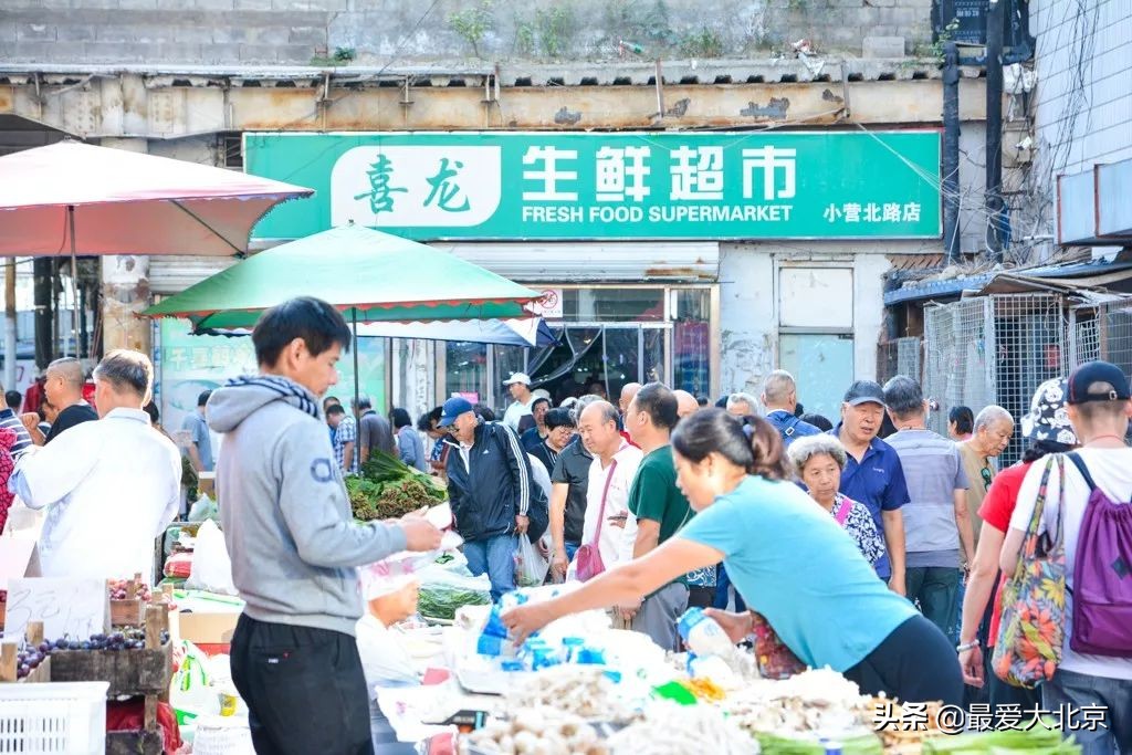 最便宜的早市品种,北方早市有哪些品种