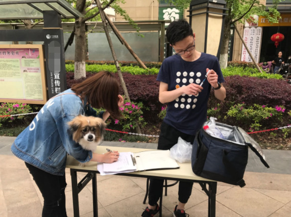 辟谣狗狗,狗狗辟谣