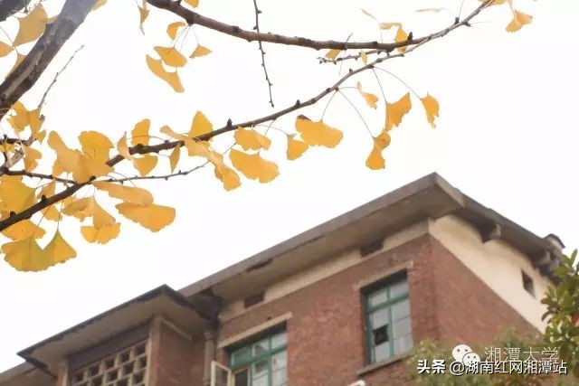 湘潭大学图,湘潭大学是湘大校友最多的大学