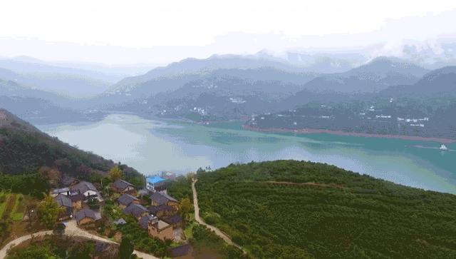 朱广权爆金句直播间,朱广权最近直播视频