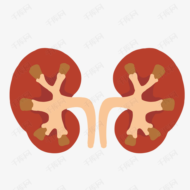 孩子尿床不用管？博尼特博士：白天对膀胱不注意，夜晚就更难注意