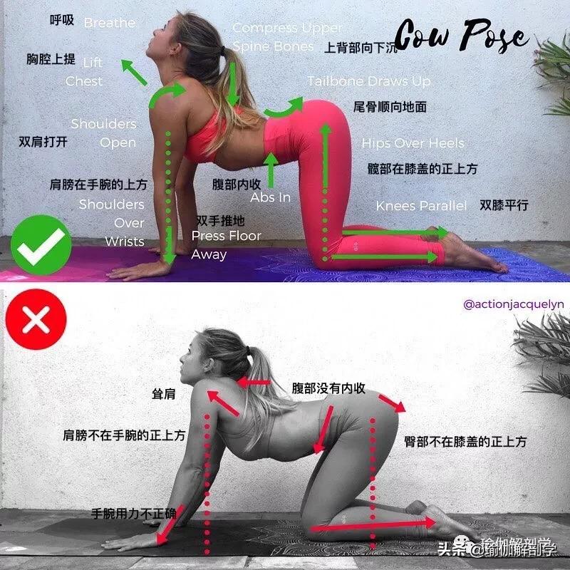 28个常见瑜伽体式,瑜伽25个正确错误动作对比