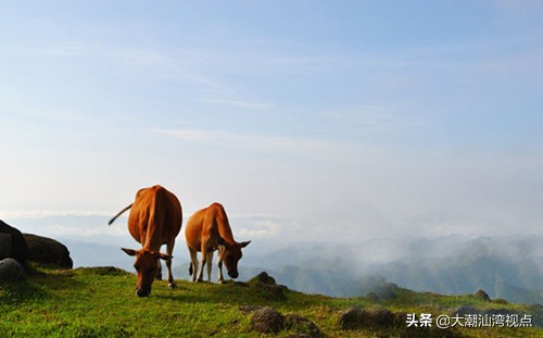 广东最美8个大草原,广东十大草原旅游地