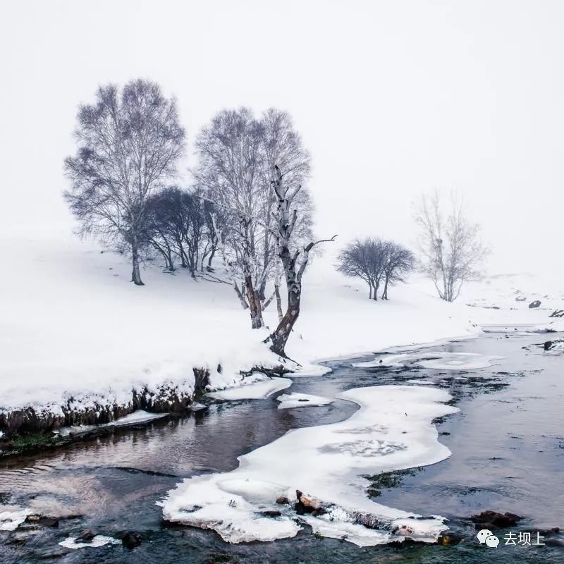 坝上摄影攻略,坝上夏季摄影